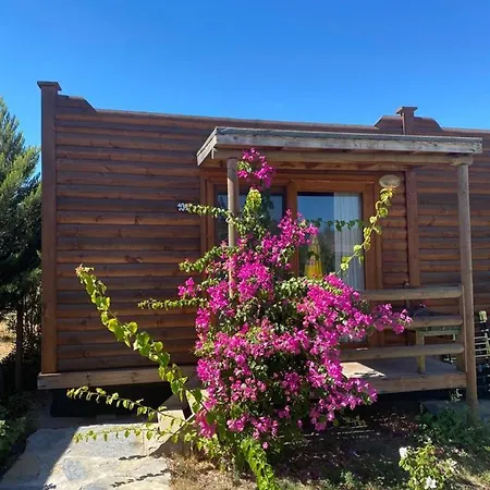 Cozy Tiny House With Shared Pool And Balcony In Bodrum Casa vacanze