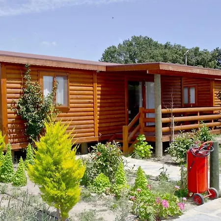 Cozy Tiny House With Shared Pool And Balcony In Bodrum Holiday home Bitez